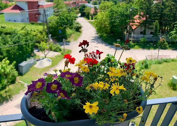 アパート Old Hill *